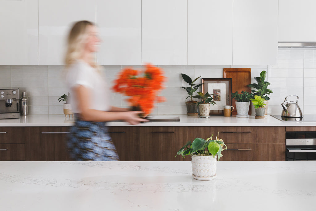 mid century modern kitchen and plants