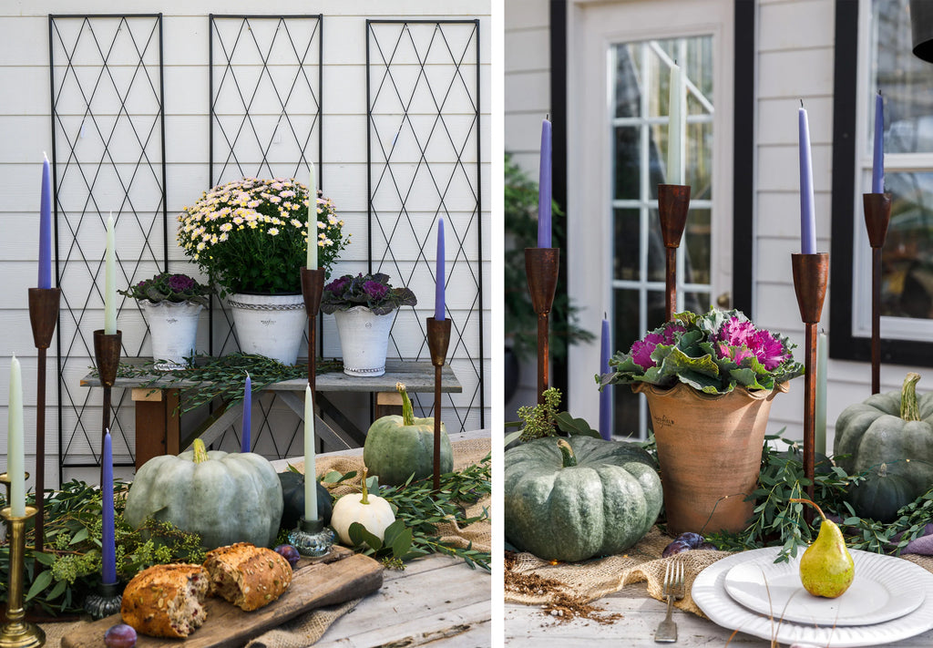 A fall table with pumpkins and plants