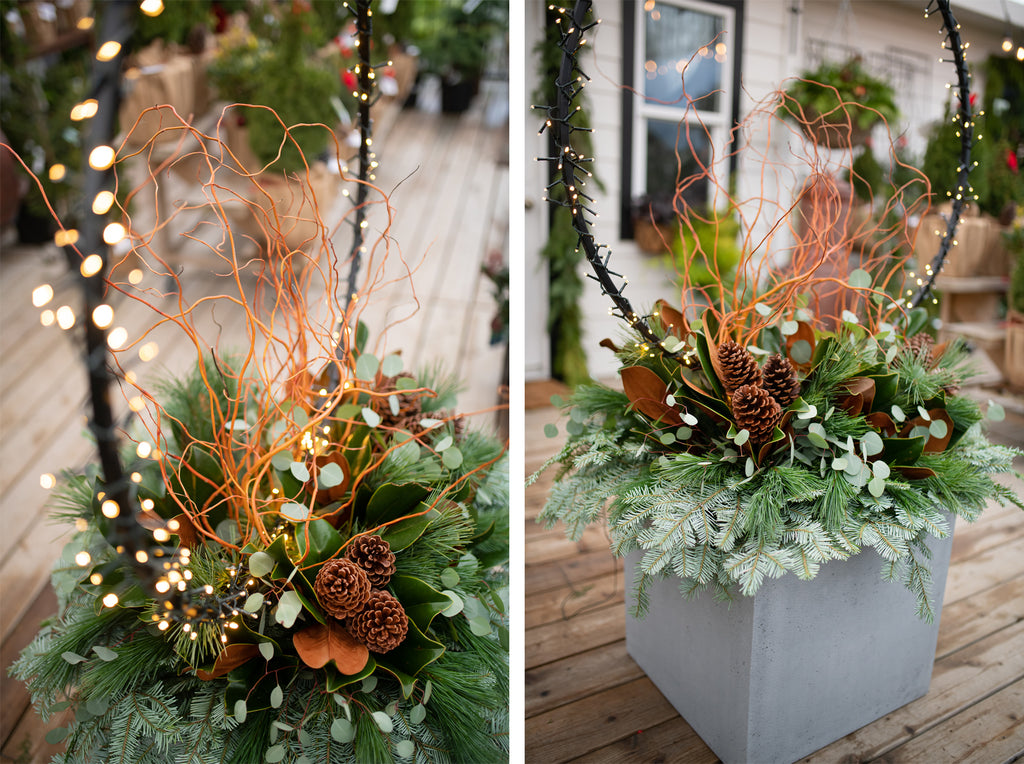 holiday halo lights