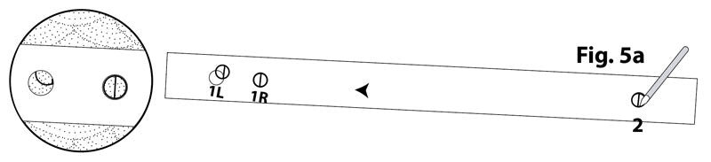 Fig. 5a