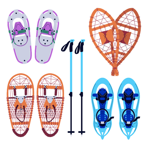 Snowshoes and Poles