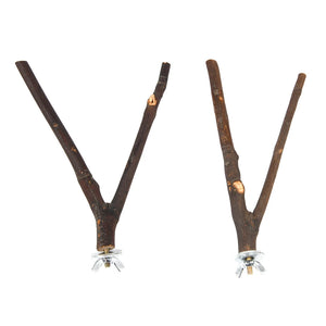 Parrot Bird Standing Stick Wood Pole Bird Cockatiel Parakeet Perches Bite Claw Grinding Toy Bird Cage Accessories  Pet Toys - Petzie - Parakeet Toys For Birds