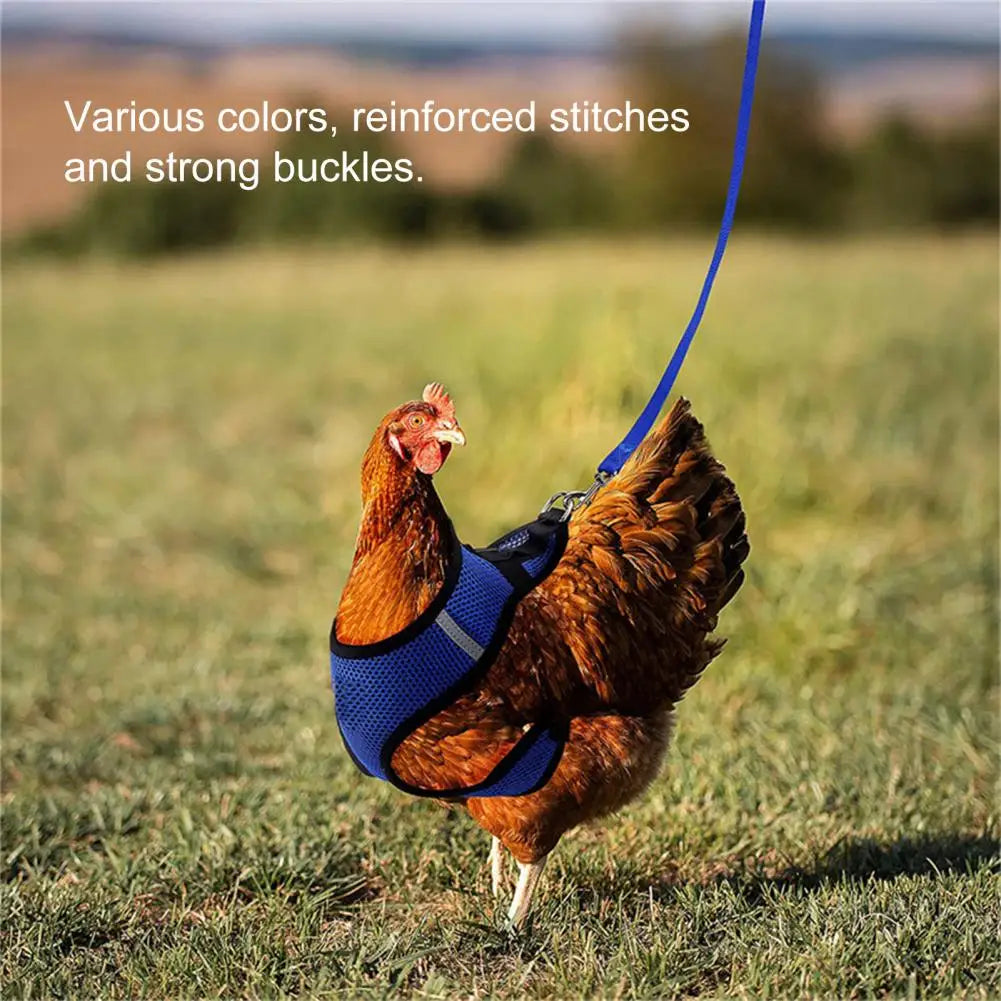 1 Set Chicken Harness Wearable Poultry Soft Safety Harness Unisex Duck Leash