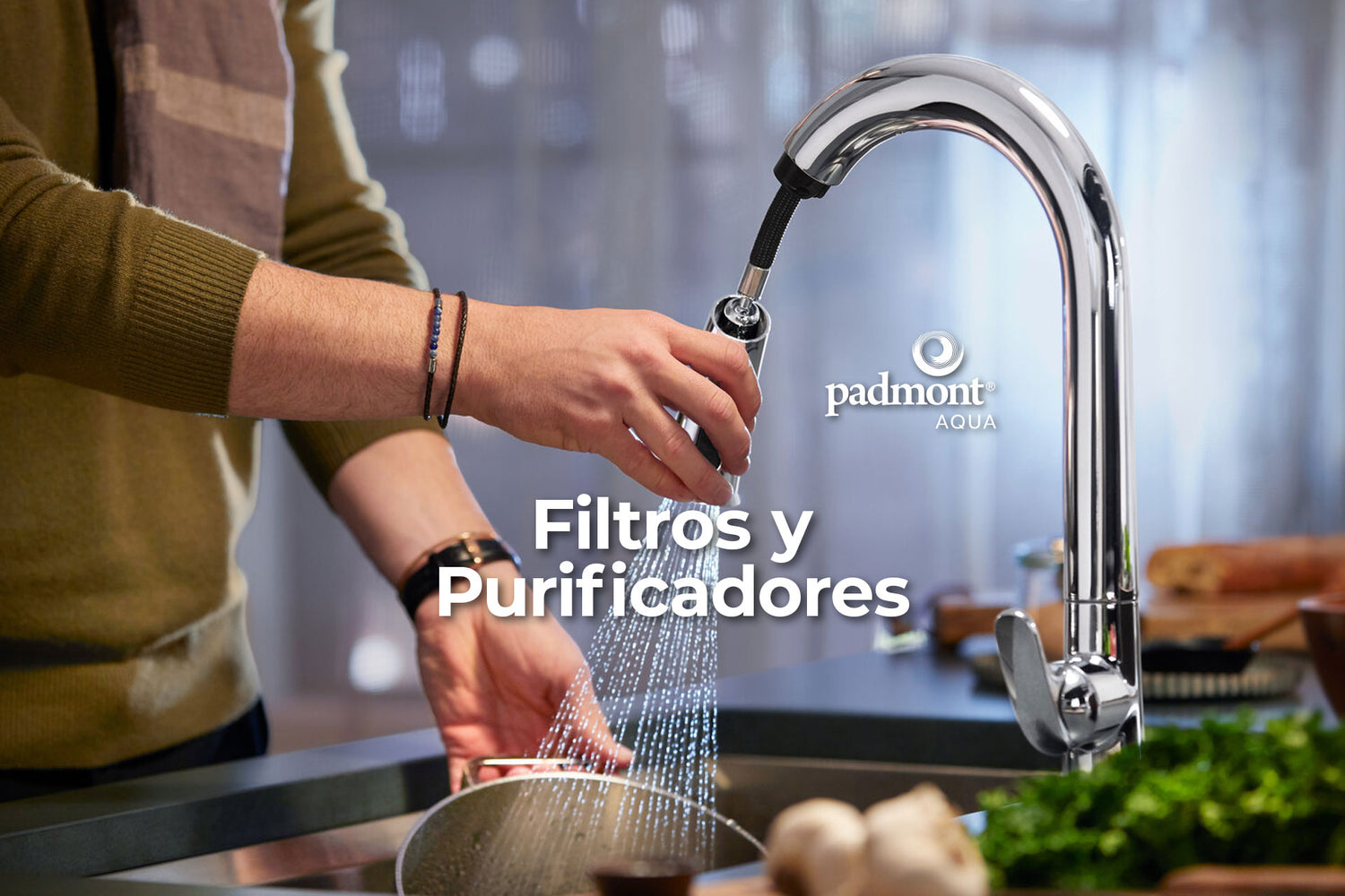 Padmont Aqua | Químicos, Equipos y Mantenimiento para Albercas