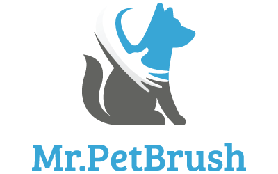 Mr. Pet Brush