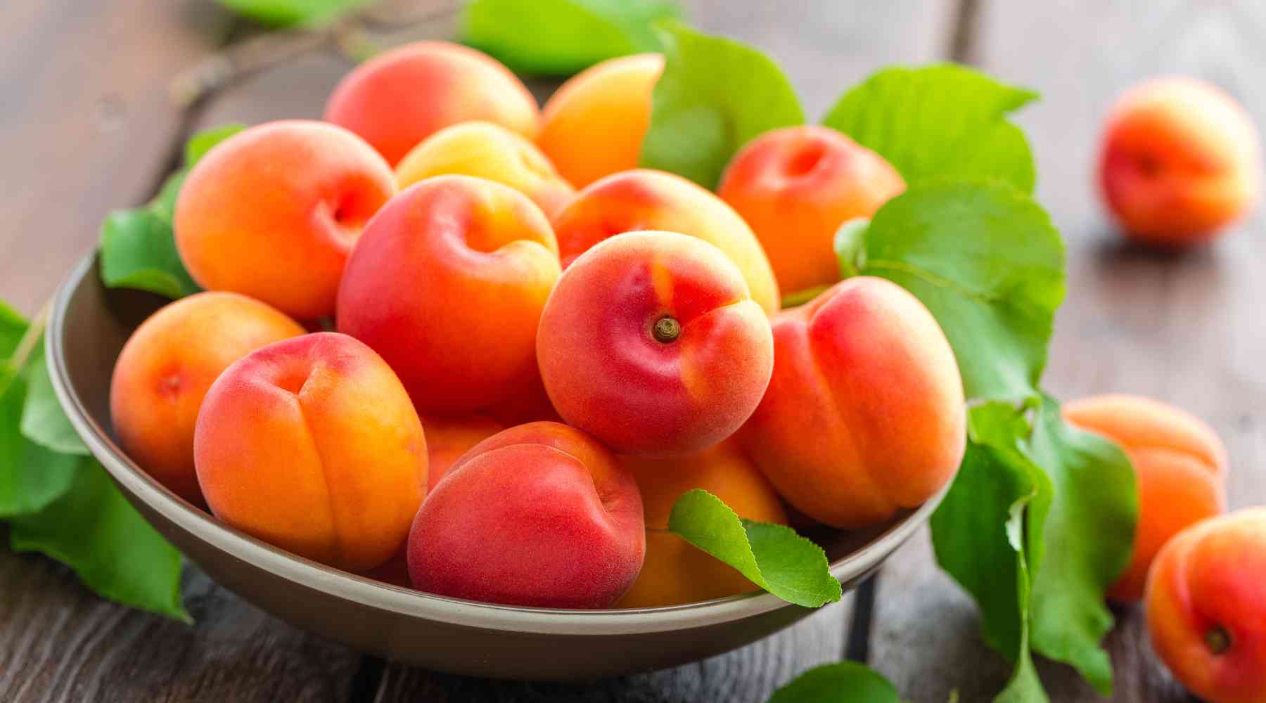 apricots