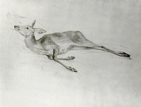 Deer by John Singer Sargent