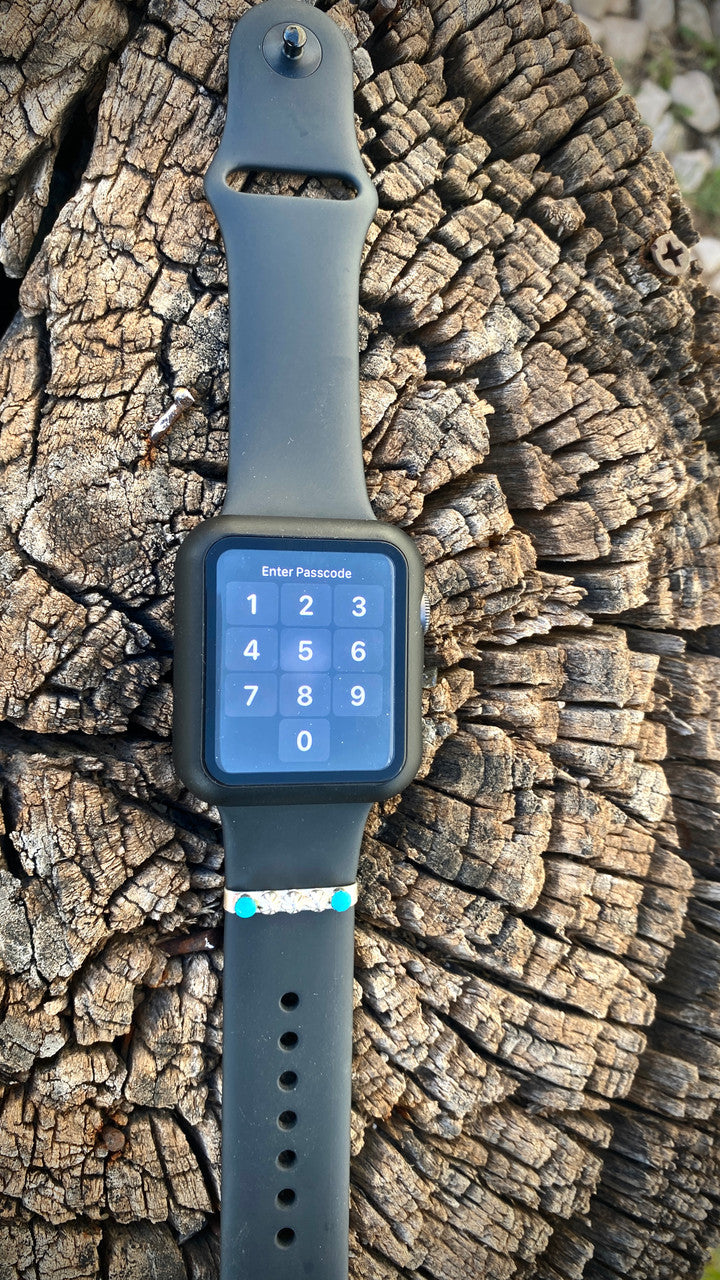 Chaco Canyon Apple Watch Accessory Saguaro Cactus Turquoise