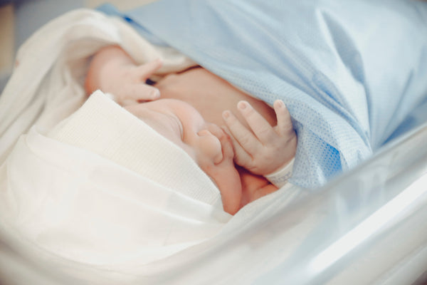 Newborn infant asleep in hospital