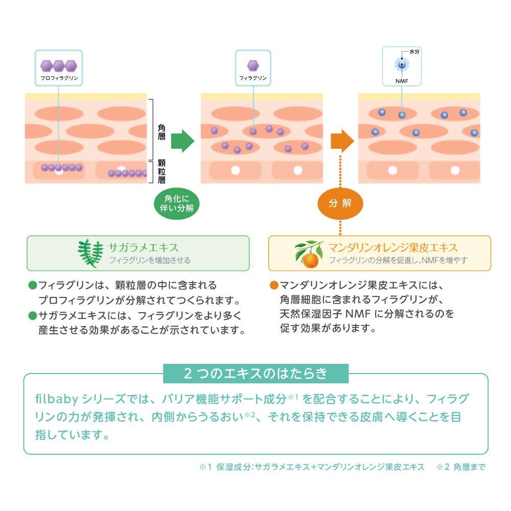 filbabyシリーズでは、バリア機能サポート成分を配合することにより、フィラグリンの力が発揮され、内側からうるおい、それを保持できる皮膚へ導くことを目指しています