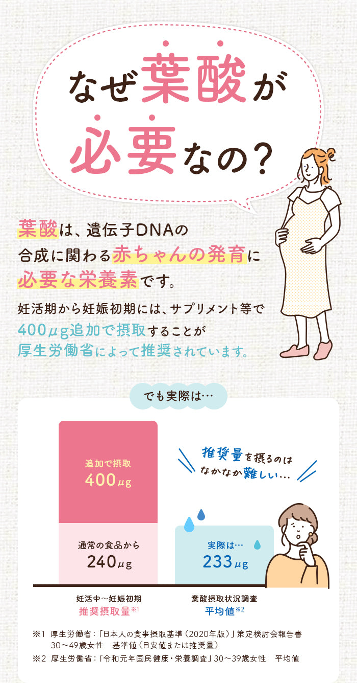 なぜ葉酸が必要なの？葉酸は遺伝子DNAの合成に関わる赤ちゃんの発育に必要な栄養素です