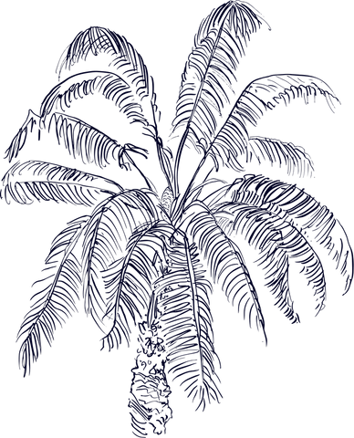 Symbol image: palm tree