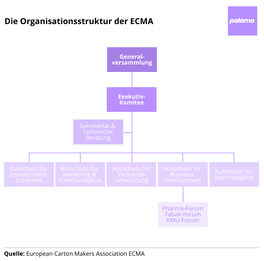 Infografik: Organisationsstruktur der ECMA