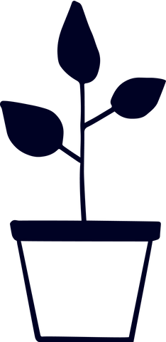 Symbolbild: Blume im Topf