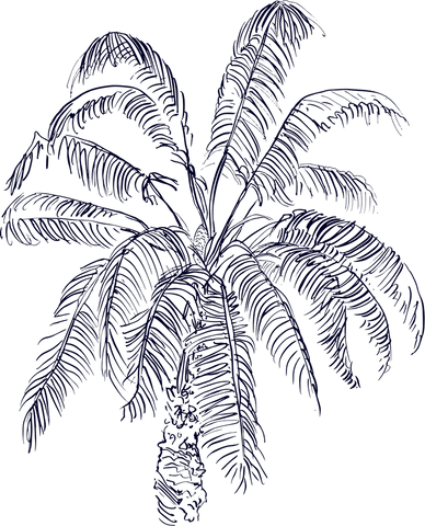Symbol image: palm tree