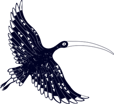 Symbol image: bird