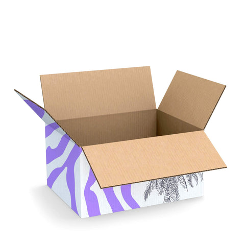 Corrugated cardboard packaging