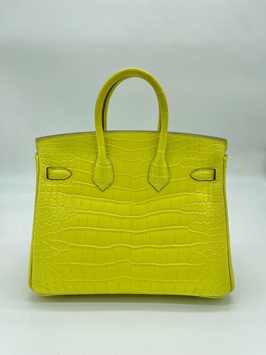 Hermes Birkin 30 Bag 8L Beton Matte Nile Croc PHW