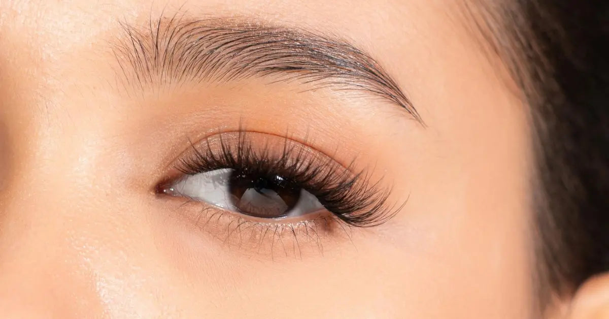 Beginner friendly lashes with soft, natural curl and lightweight volume for easy everyday wear