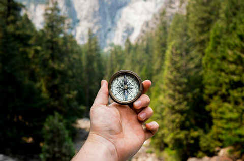 person-holding-compass-facing-towards-green-pine-trees