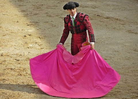 Matador Suit bull fighting