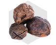 kola nut