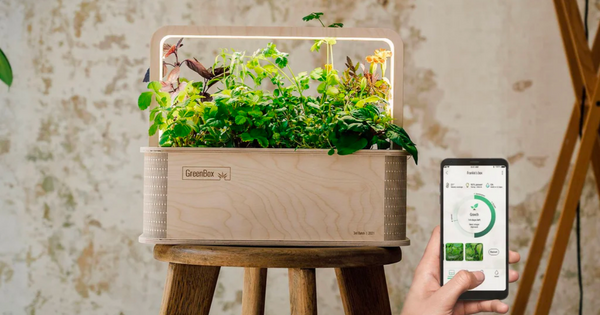 Die besten Indoor-Gartensysteme und -Sets aus Deutschland – Berlin Green