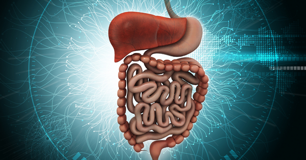 Beneficios para la salud de la alimentación consciente: mejora la digestión y reduce los problemas digestivos