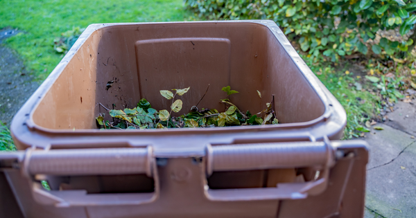 Cómo clasificar la basura y reciclar en los Países Bajos - Contenedor marrón
