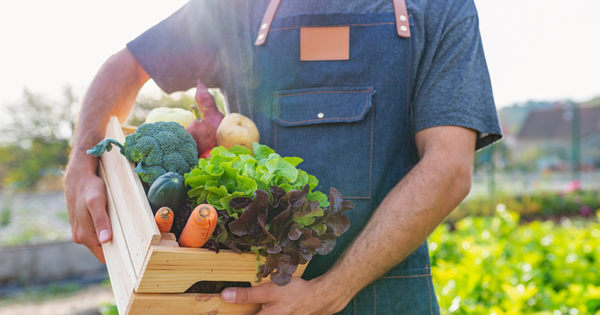 Beneficios sostenibles de la alimentación consciente: promoción de la agricultura sostenible y reducción del desperdicio de alimentos