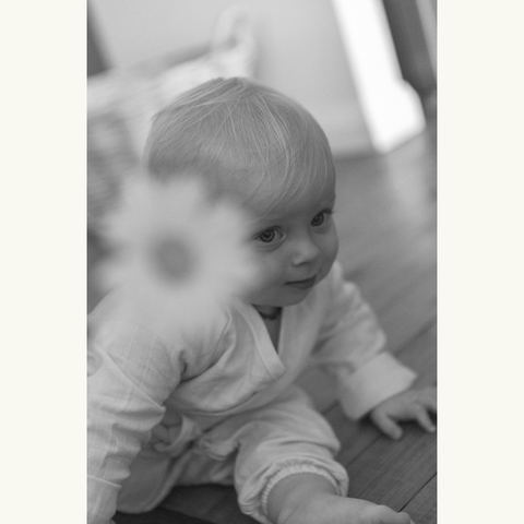 baby with flower by face black and white