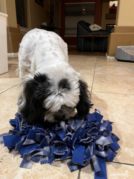 Extra Large Snuffle Mat – Snufflesshop