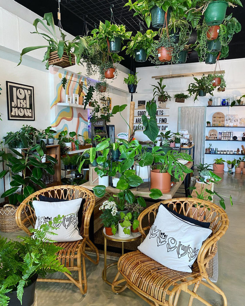 Native Plant Shop interior image showcasing lots of tropical plants