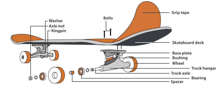 Skateboard Parts Diagram