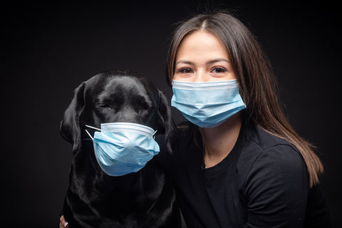 Porträt eines Labrador Retriever-Hundes in einer schützenden medizinischen Maske mit einer weiblichen Besitzerin.