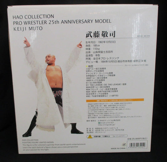 Hao Arts Office Ajpw Hao Collection Wrestling Figure Database