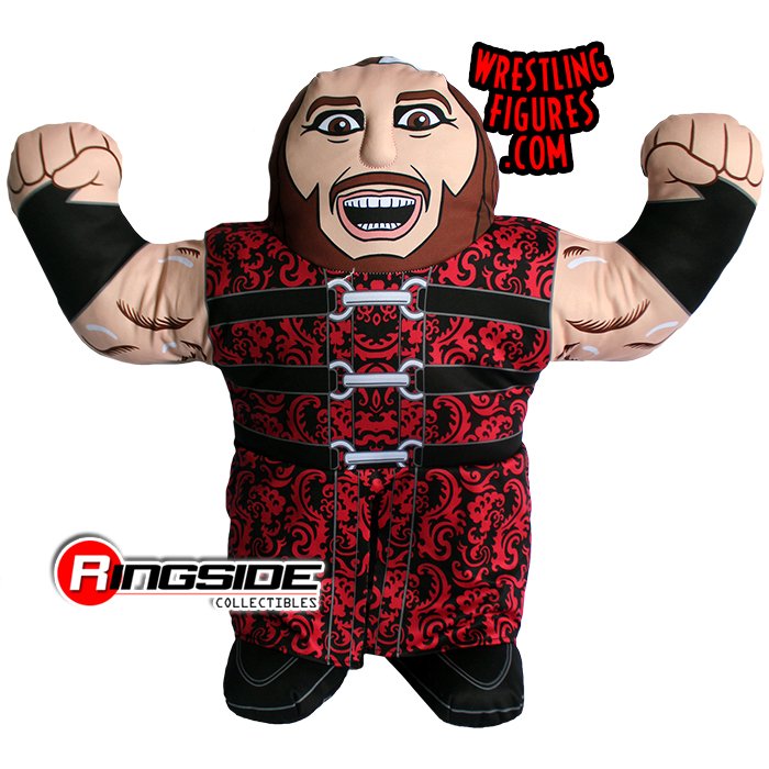 2018 WWE Jakks Pacific Ringside Exclusive Matt Hardy Superstar Buddy ...