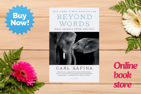 Beyond Words: What Animals Think and Feel by Carl Safina