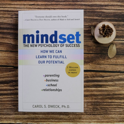 Mindset: The New Psychology of Success by Carol S. Dweck