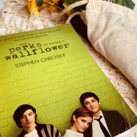 The Perks of Being a Wallflower by Stephen Chbosky