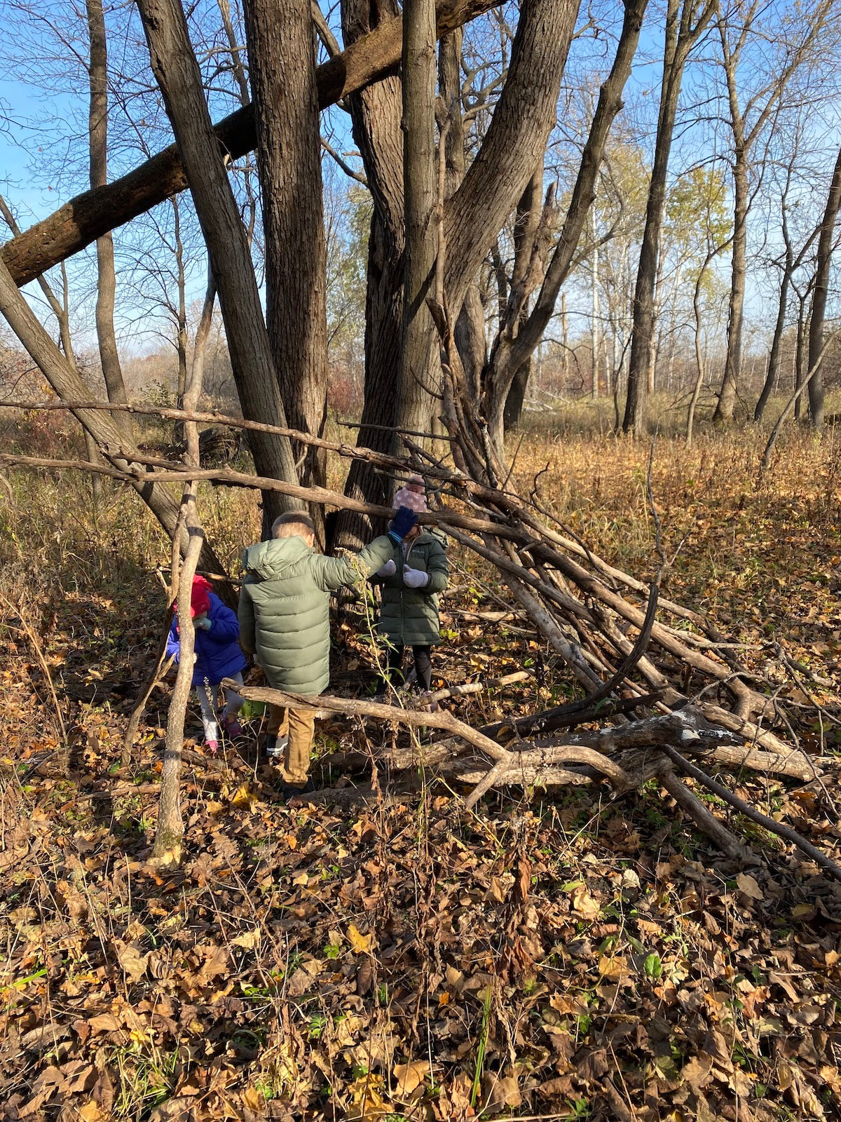 kids playing in the woods.