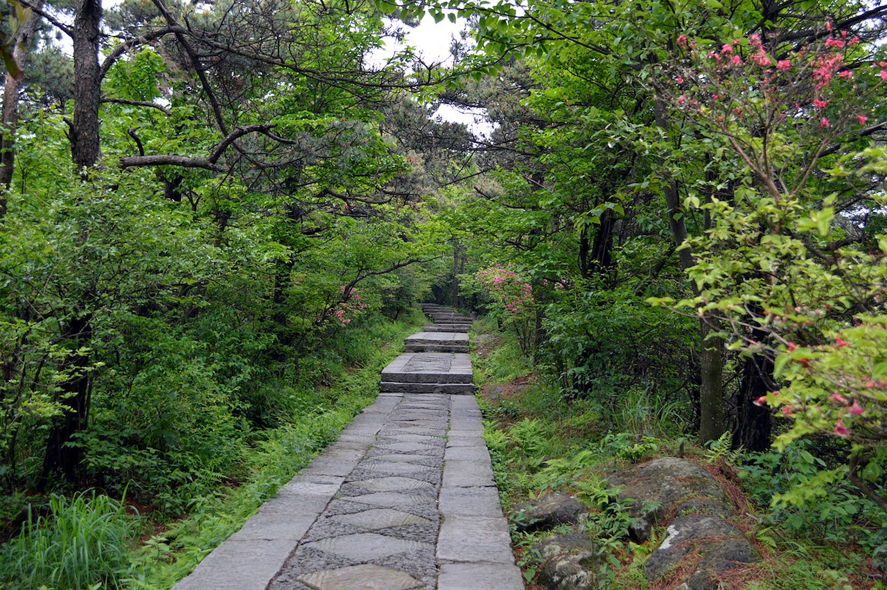 peach blossom spring lushan