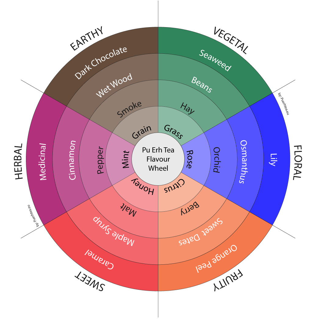 pu erh tea flavour wheel