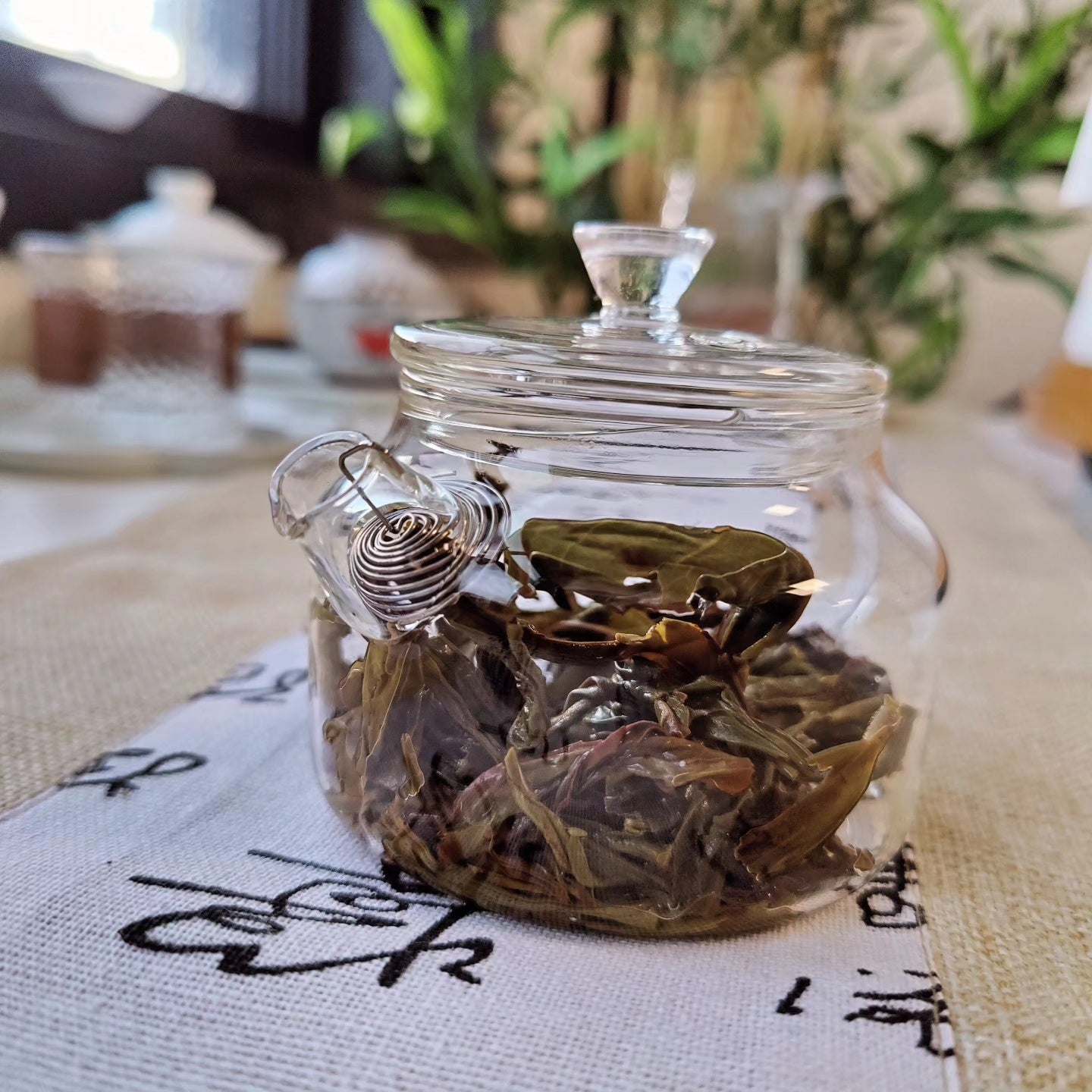 oolong tea glass teapot