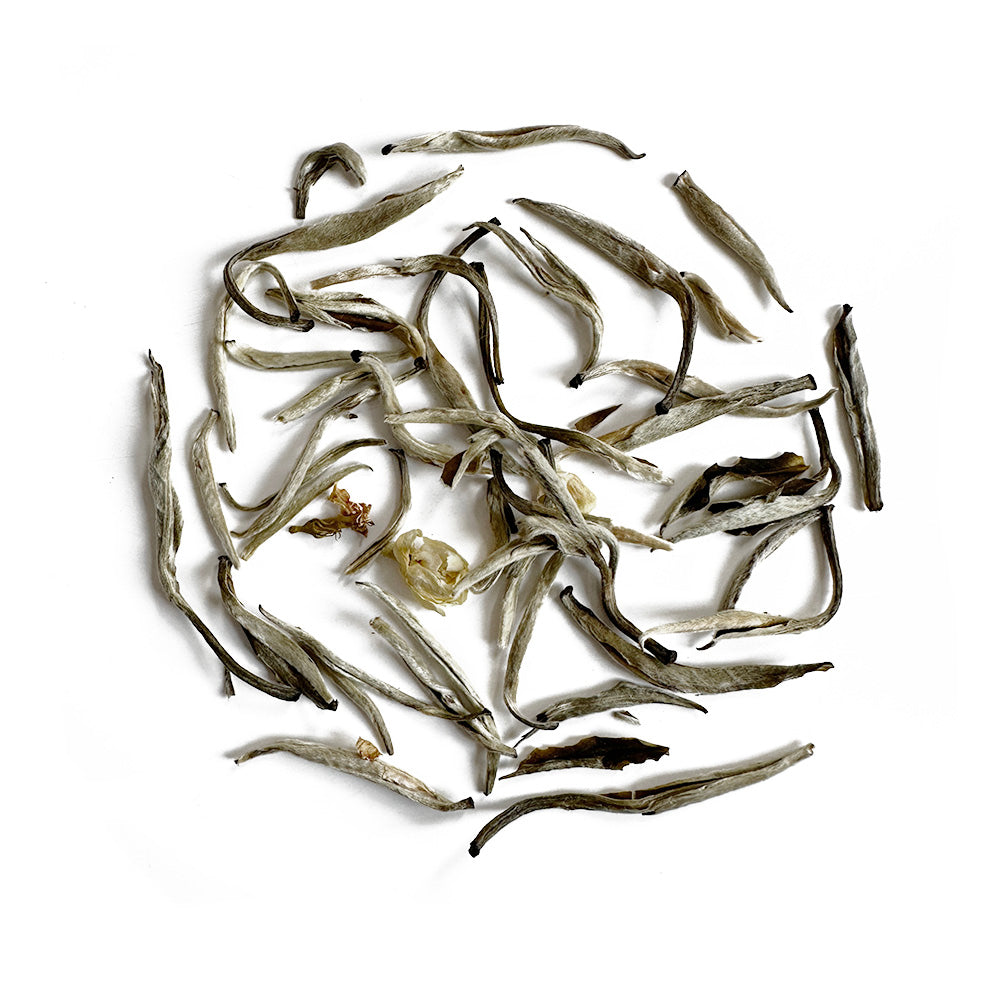 Filtre à thé en feuille 'Infusio' en acier inox (4,5cm), Vente en ligne -  Teasenz.fr