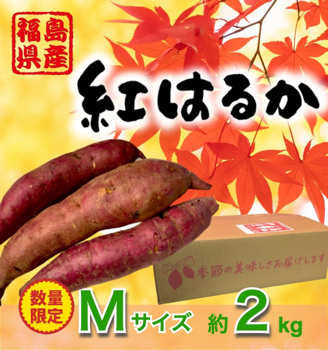 mini様専用サツマイモ2種20kg-