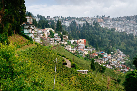 Blick auf die Stadt Darjeeling