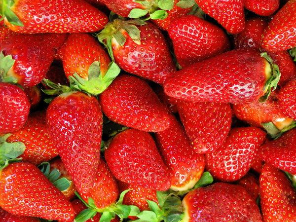 verschiedene Erdbeeren (gepflückt)