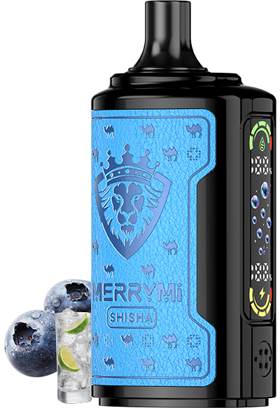 Blueberry Lemonade