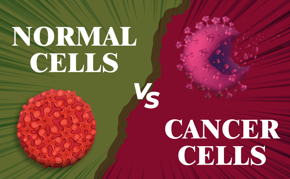 Normal Cells Vs Cancer Cells